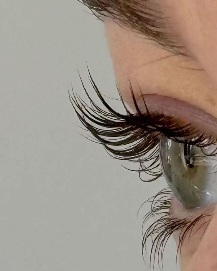 FORMATION KOREAN LASH LIFT